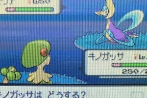 てから始まるポケモンの秘密：特性と戦略的活用法