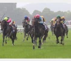 宝塚記念で雨に強い馬の特徴と注目馬選び